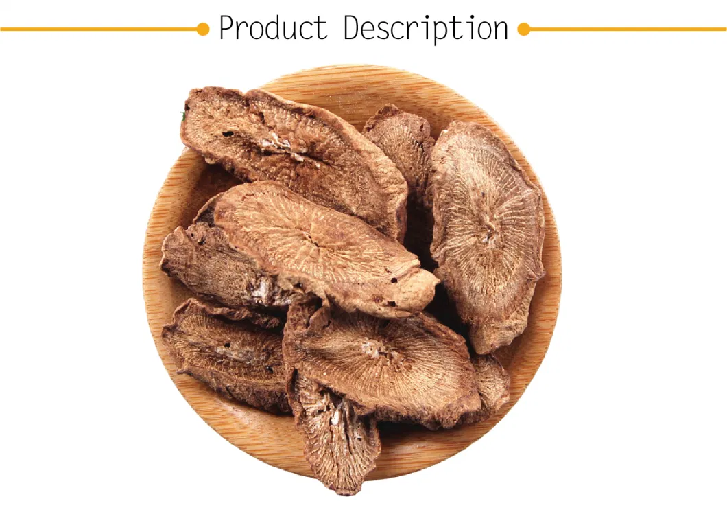 2022 Hot Sale Food Grade Material Best Quality Burdock Root