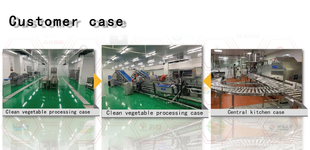 Rolling Vacuum Packaging Machine for Dried Bean Curd, Vegetables, Frozen Products and Aquatic Products. Rolling Vacuum Packaging