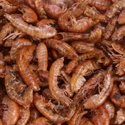 Vacuum Freeze Drying Hook Shrimp Feed Fish Food in Bulk