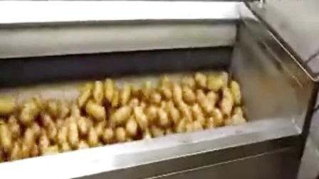 Automatic Fried Frozen French Fries Making Machine Potato Chips Production Line Price